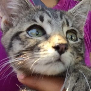 Meet your Posher, Brenda