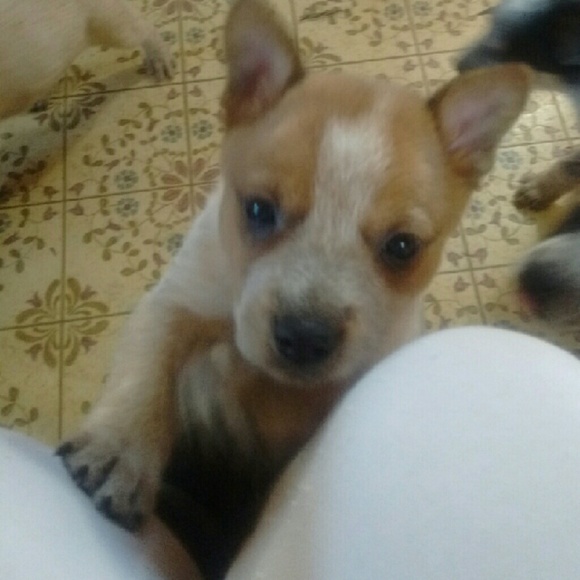 Dottie Stuart - Picture 3 of 8