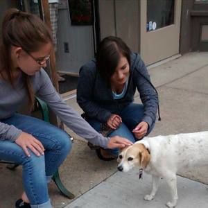 Meet your Posher, Keith maribeth