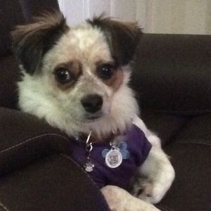 Meet your Posher, Bobotu