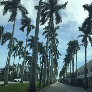 Meet your Posher, Joe