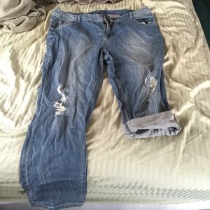 Lane Bryant Straight Leg Jeans!