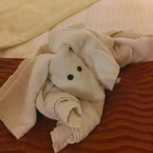 Meet your Posher, Kathryn