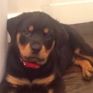 Meet your Posher, Laura