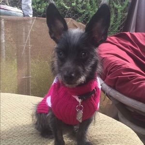 Meet your Posher, Victoria