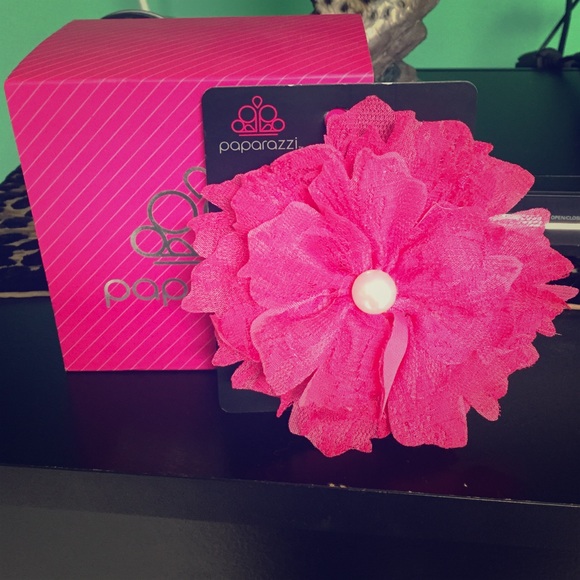 Paparazzi hair clip