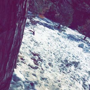 Meet your Posher, Carmen