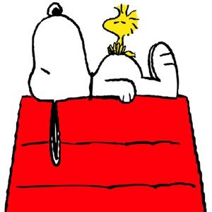 Meet your Posher, Renelda