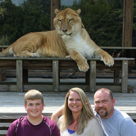 Meet your Posher, Erica - Picture 1 of 1