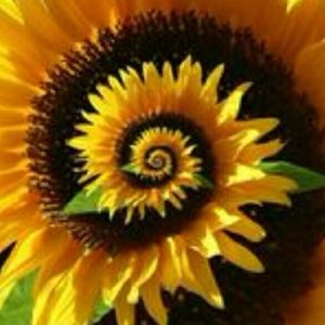 Meet your Posher, Gissela