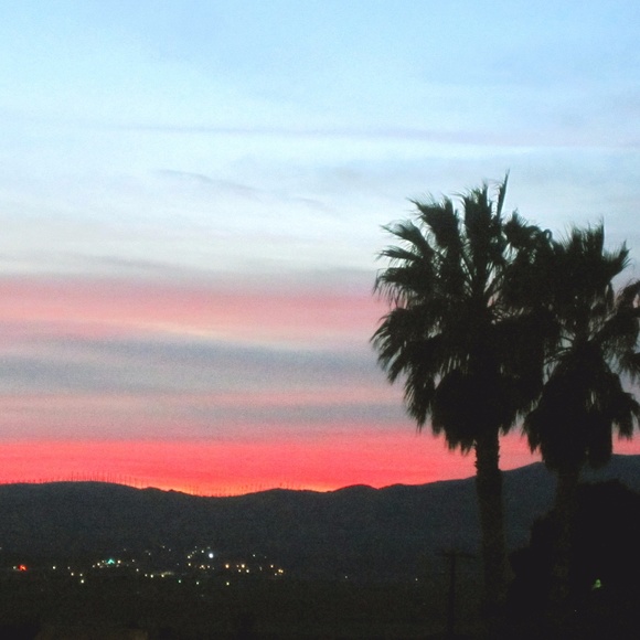 Meet your Posher, Amy - Picture 1 of 1