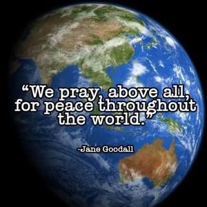 Meet your Posher, Carla