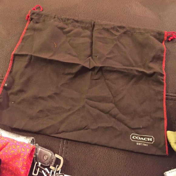 Coach bag only