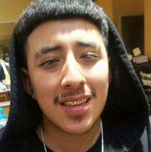 Meet your Posher, Albert