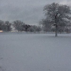 Meet your Posher, Trish