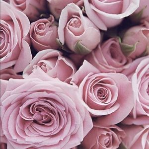 Meet your Posher, Delayni