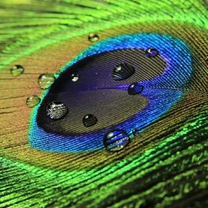 Meet your Posher, Ashly