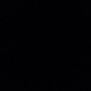 Meet your Posher, Princess