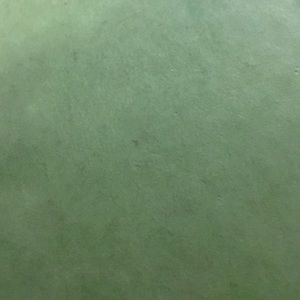 Meet your Posher, Krisjai