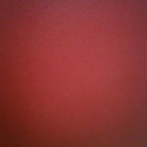 Meet your Posher, Salvador