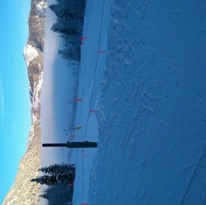 Meet your Posher, Reggie