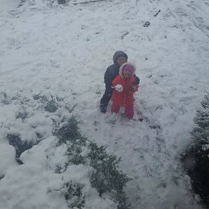 Meet your Posher, Spencer