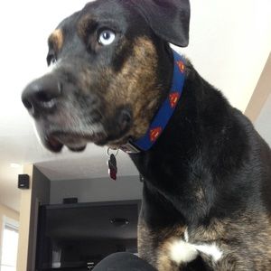 Meet your Posher, Kersten