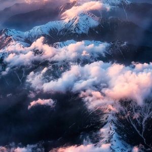 Meet your Posher, Reyna