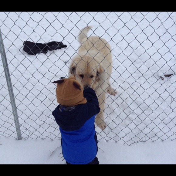 🐾❤️Bundle & Save! ❤️🐾 - Picture 3 of 4