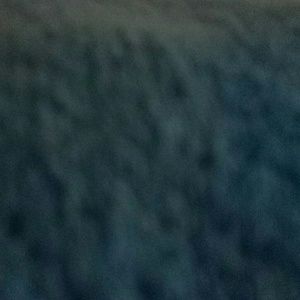 Meet your Posher, Felicia