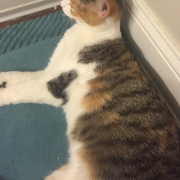 Meet your Posher, Devoe - Picture 1 of 1