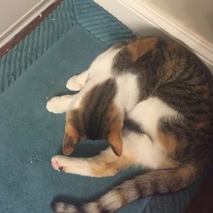 Meet your Posher, Nono