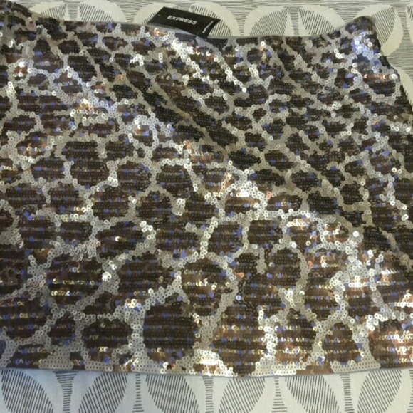 Express skirt
