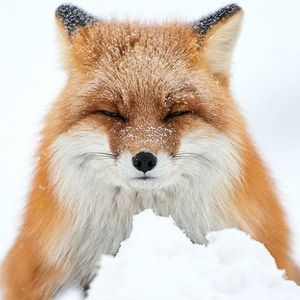 Meet your Posher, Marina