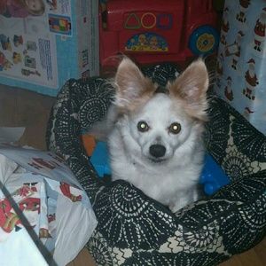 Meet your Posher, Lea