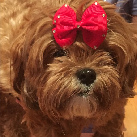 Meet your Posher, Julie