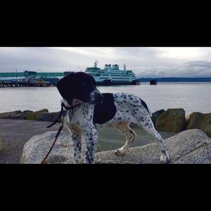 Meet your Posher, Josie