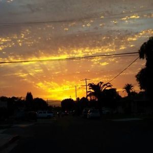 Meet your Posher, Philip