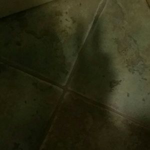 Meet your Posher, Sheena