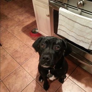 Meet your Posher, Matt