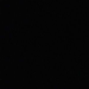 Meet your Posher, Elly