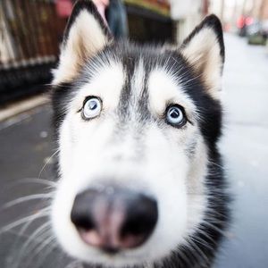 Meet your Posher, Pat