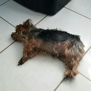 Meet your Posher, Roberto