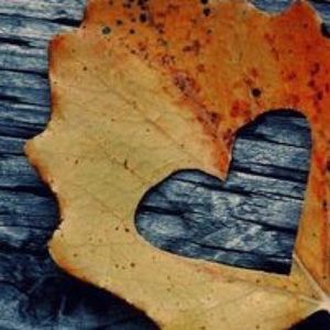 Meet your Posher, Haylee