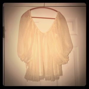 Never Worn Sheer Swing Blouse