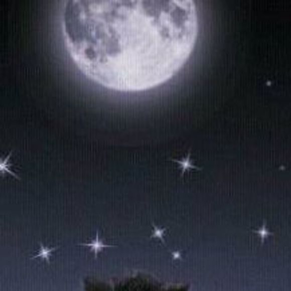 Meet your Posher, Vicki - Picture 1 of 1