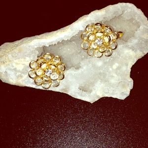 Vintage rose glass clip on earrings