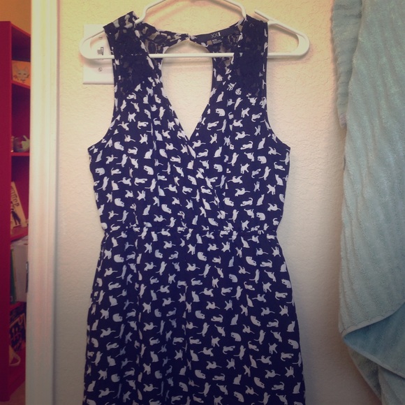 🐱Cat dress🐈