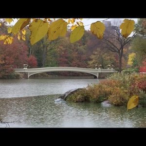 Meet your Posher, Kristy