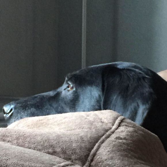 Meet your Posher, April - Picture 1 of 1